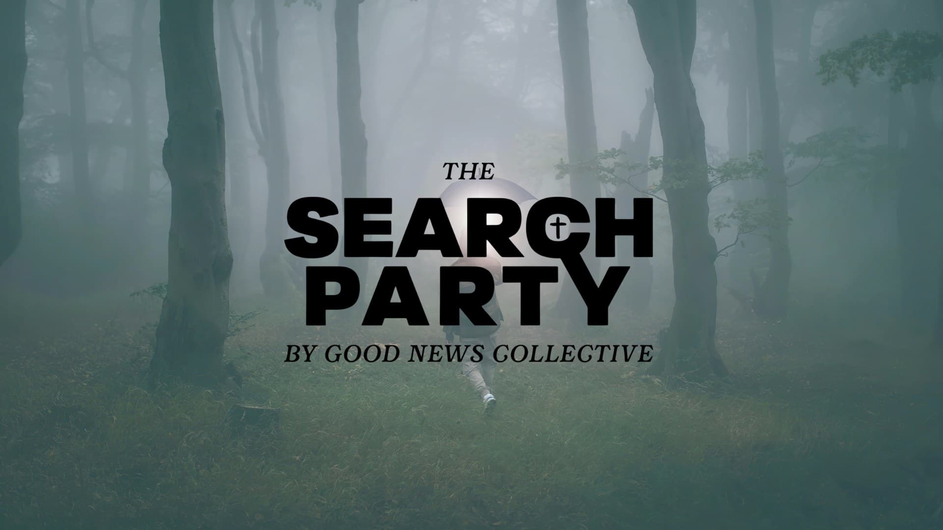 The Search Party